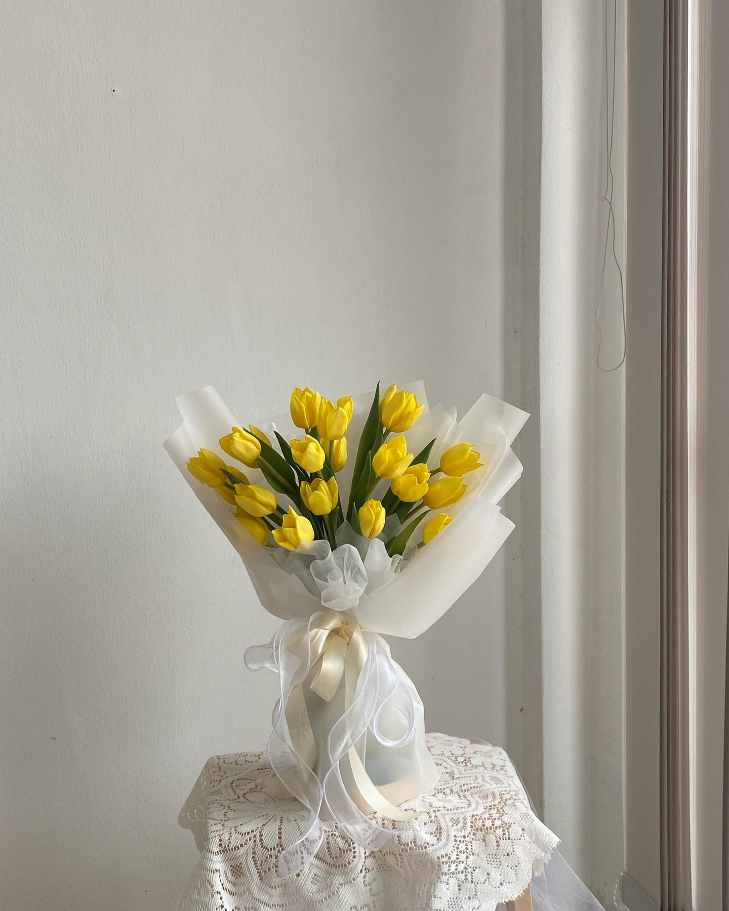 Lune • Sonata Tulip