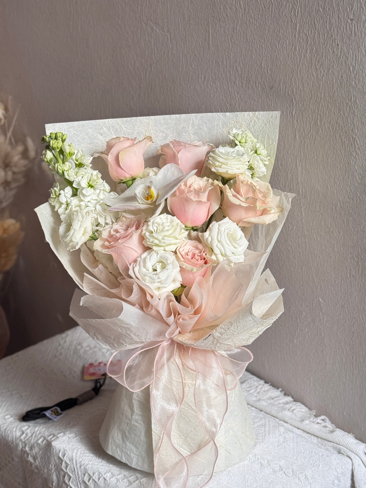 Muse • Romance Pink