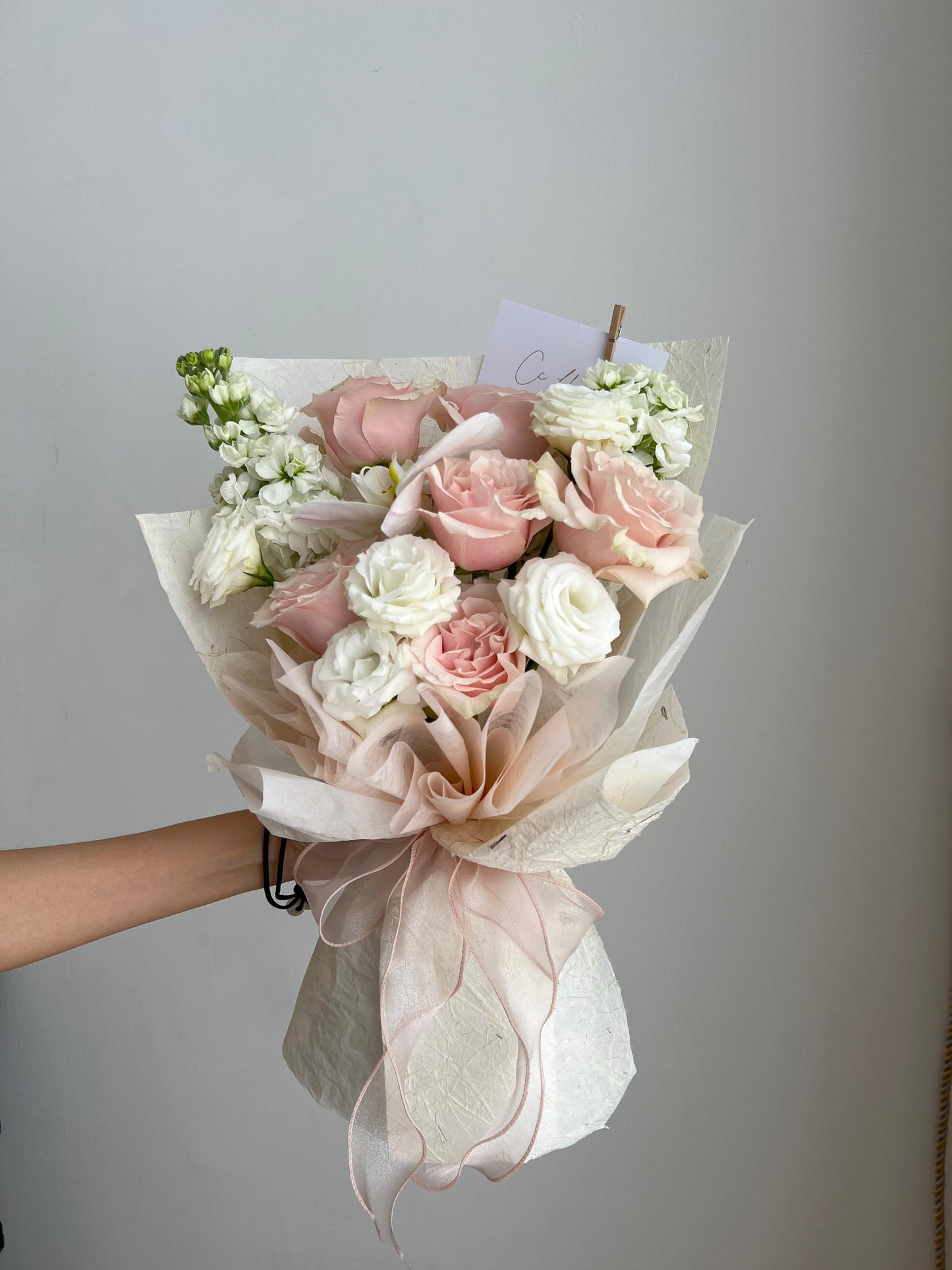 Muse • Romance Pink