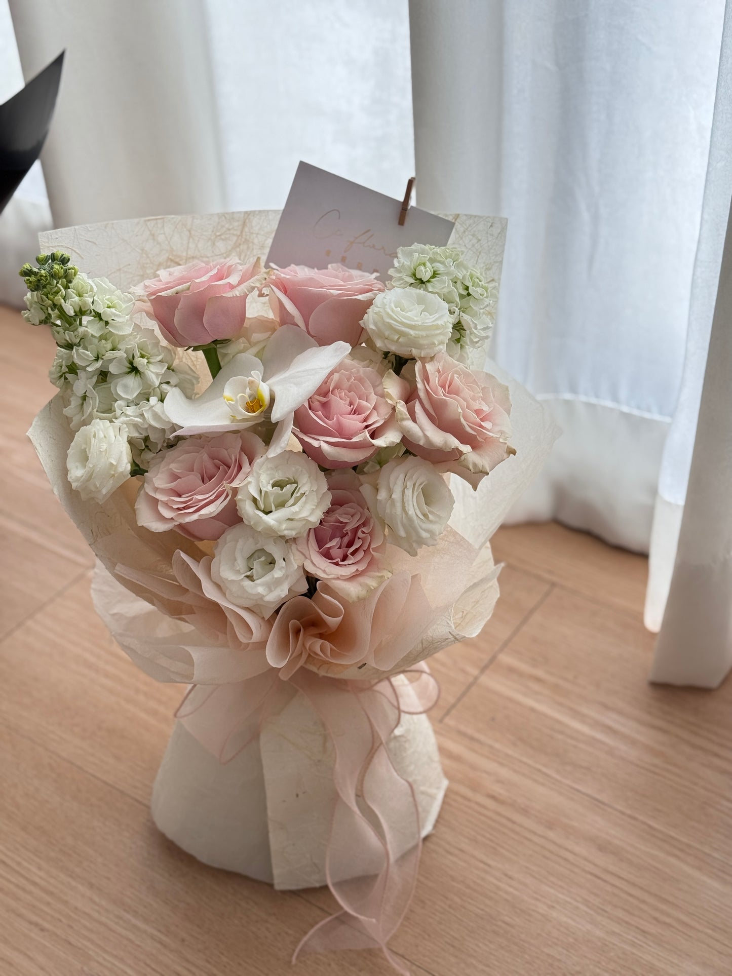 Muse • Romance Pink