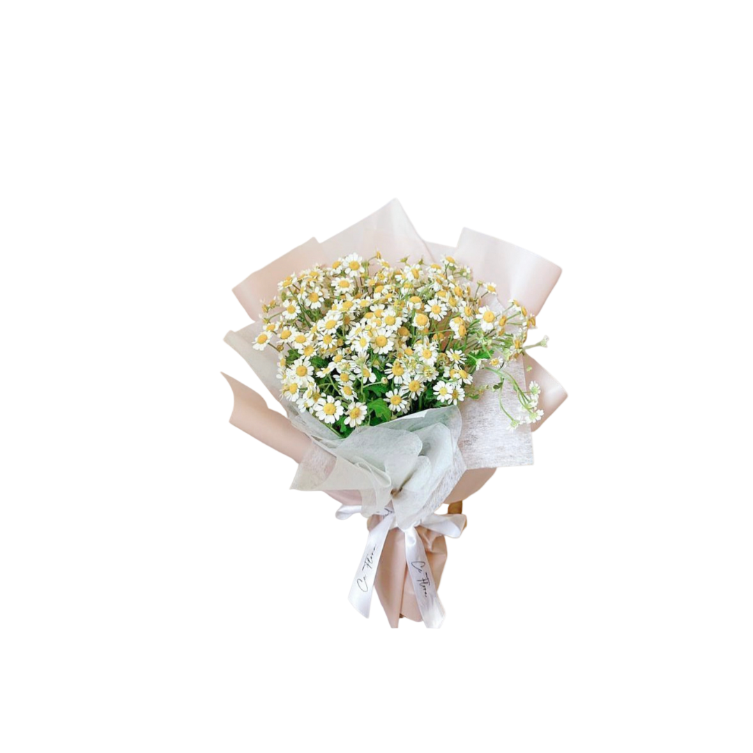 Sunshine • Chamomile